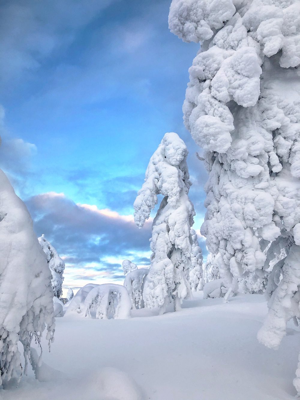 Kuer tunturi ylläs