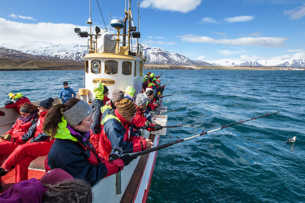 Islanti kalaretki matkavinkki kalastus